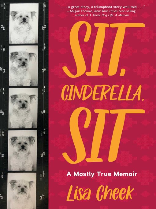 Title details for Sit, Cinderella, Sit by Lisa Cheek - Available